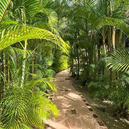 Chalet Tropical Au Coeur De Las Terrenas Extérieur photo