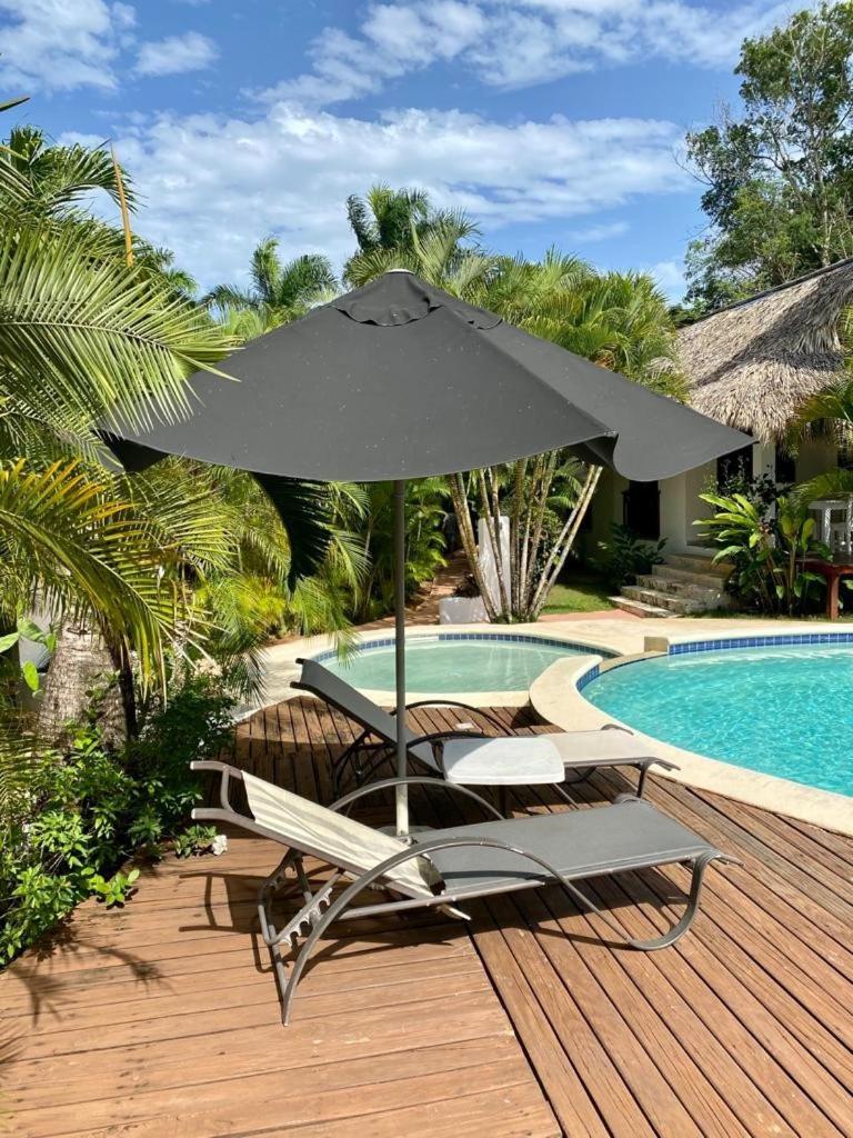 Chalet Tropical Au Coeur De Las Terrenas Extérieur photo